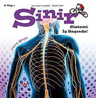 Sinir Sistemi İş Başında! - Vücudumuzdaki Sistemler - TÜBİTAK Yayınları