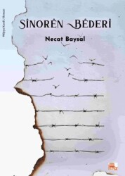 Sinoren Bederi - Payiz Yayınları