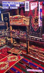 Sır Aktüel Fikir ve Yorum Dergisi Sayı: 75 Eylül 2022 - Sır Dergisi