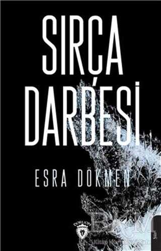 Sırça Darbesi - 1