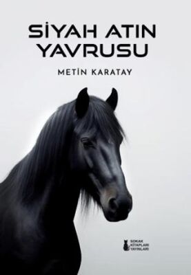Siyah Atın Yavrusu - 1