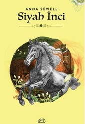 Siyah İnci - İletişim Yayınevi