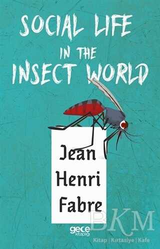 Social Life in The Insect World - Gece Kitaplığı