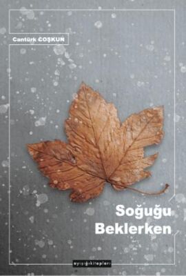 Soğuğu Beklerken - 1
