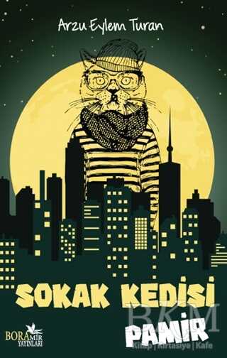 Sokak Kedisi Pamir - Boramir Yayınları