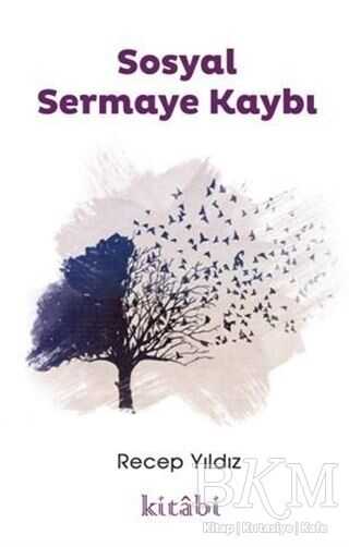 Sosyal Sermaye Kaybı - Kitabi Yayınevi