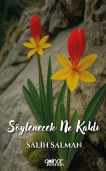 Söylenecek Ne Kaldı - Gülnar Yayınları