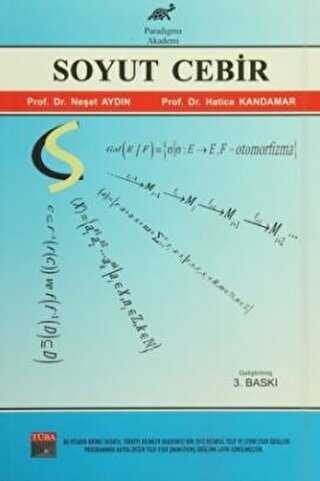 Soyut Cebir - Paradigma Akademi Yayınları