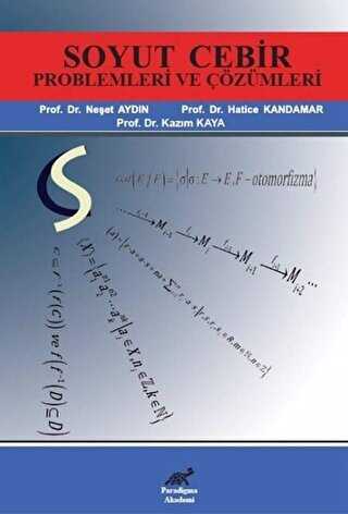 Soyut Cebir Problemleri ve Çözümleri - Paradigma Akademi Yayınları