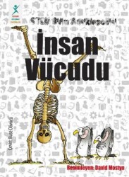 STEM Bilim Ansiklopedisi: İnsan Vücudu - Çocuk Gelişimi Yayınları