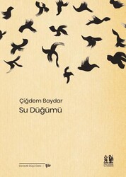 Su Düğümü - Pikaresk Yayınevi