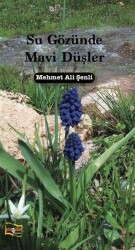 Su Gözünde Mavi Düşler - Payda Yayıncılık