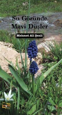 Su Gözünde Mavi Düşler - 1