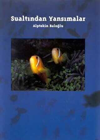 Sualtından Yansımalar - A4 Ofset