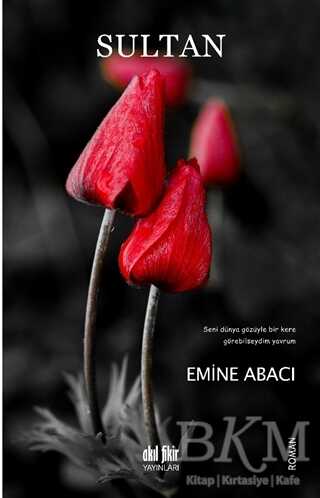 Sultan - Akıl Fikir Yayınları