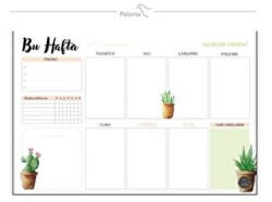 Süresiz Haftalık Planlayıcı - Kaktüs Desenli - Paloma Yayınevi