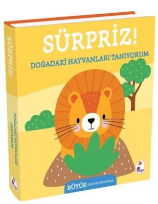 Sürpriz! – Doğadaki Hayvanları Tanıyorum - 1