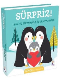 Sürpriz! – Yavru Hayvanları Tanıyorum - İndigo Çocuk