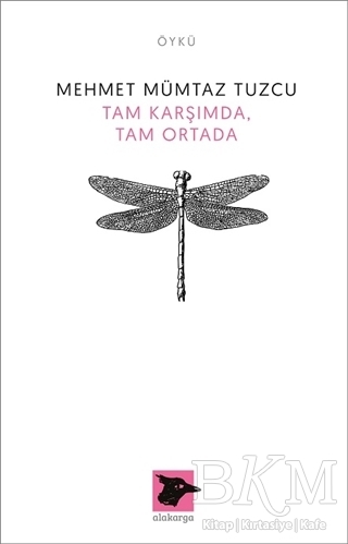 Tam Karşımda, Tam Ortada - Alakarga Sanat Yayınları