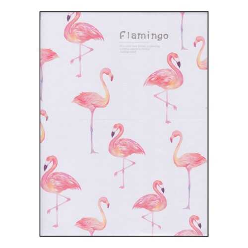 Taros Unick Color Ciltli A4 Plastik Kapak Flamingo Defter