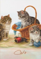 Tekir Çizgili Defter - Mor Kelebek