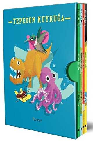 Tepeden Kuyruğa Kutulu Set 4 Kitap - Domingo Yayınevi