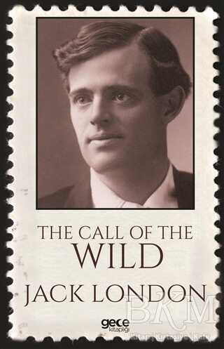 The Call Of The Wild - Gece Kitaplığı