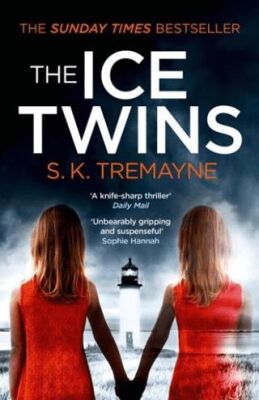 The Ice Twins - 1