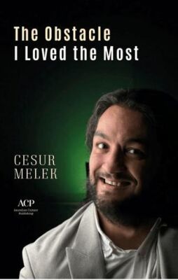 The Obstacle I Loved The Most - 1