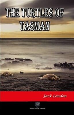 The Turtles of Tasman kapağı