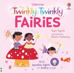 The Twinkly Twinkly Fairies - Usborne
