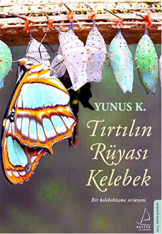 TIRTILIN RÜYASI KELEBEK