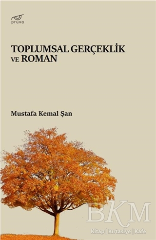 Toplumsal Gerçeklik ve Roman - Pruva Yayınları