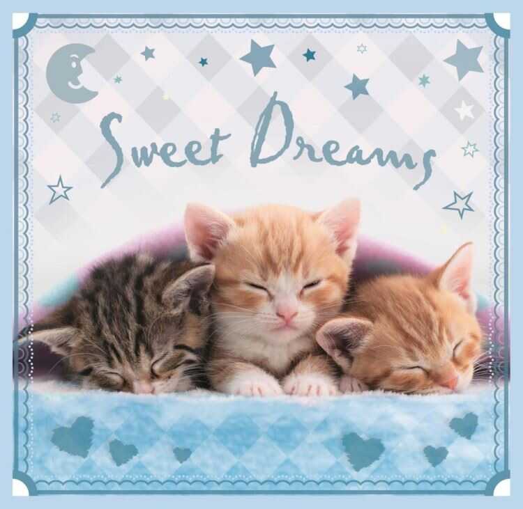 Trefl Puzzle Çocuk 106Parça Sweet Kittens 3lü