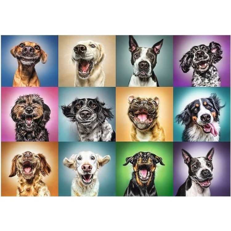 Trefl Puzzle 1000 Parça Funny Dog Portraıts