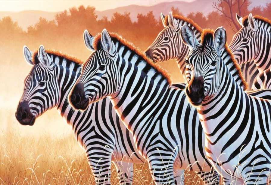 Trefl Puzzle 1500 Parça Zebras