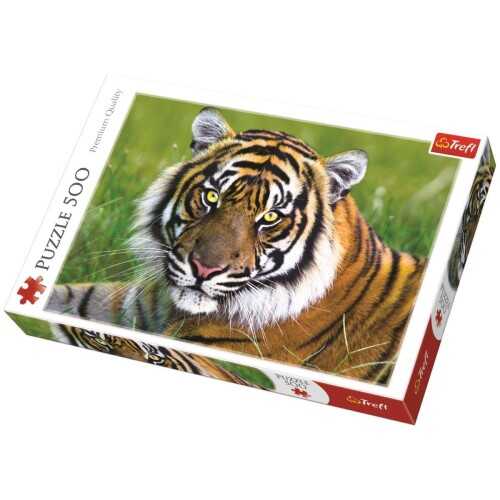 Trefl Puzzle 500 Parça Tiger