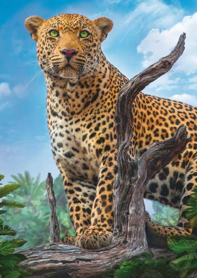 Trefl Puzzle 500 Parça Wild Leopard