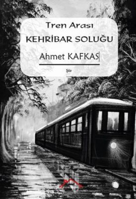 Tren Arası Kehribar Soluğu - 1