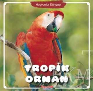 Tropik Orman - Hayvanlar Dünyası