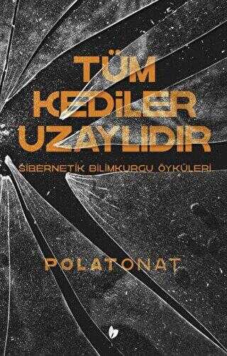 Tüm Kediler Uzaylıdır - Buğday Kitap