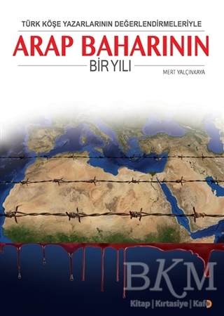 Türk Köşe Yazarlarının Değerlendirmeleriyle Arap Baharının Bir Yılı - Cinius Yayınları