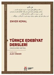 Türkçe Edebiyat Dersleri - DBY Yayınları