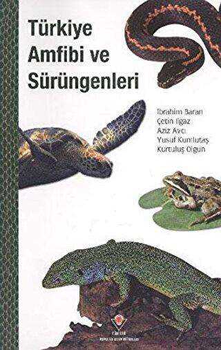 Türkiye Amfibi ve Sürüngenleri - 1