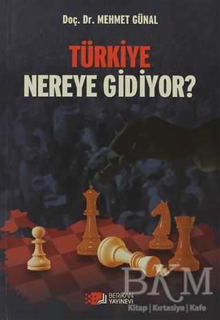 Türkiye Nereye Gidiyor? - Berikan Yayınevi