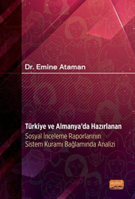 Türkiye ve Almanya`da Hazırlanan Sosyal İnceleme Raporlarının Sistem Kuramı Bağlamında Analizi - 1