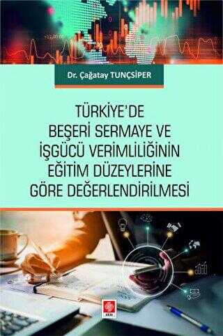 Türkiye`de Beşeri Sermaye ve İşgücü Verimliliğinin Eğitim Düzeylerine Göre Değerlendirilmesi