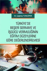 Türkiye`de Beşeri Sermaye ve İşgücü Verimliliğinin Eğitim Düzeylerine Göre Değerlendirilmesi - 2