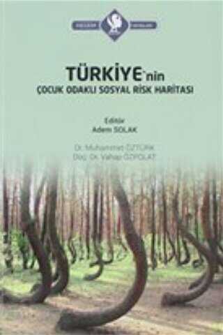 Türkiye`nin Çocuk Odaklı Sosyal Risk Haritası