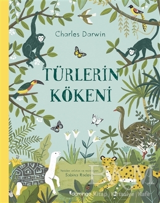 Türlerin Kökeni - Domingo Yayınevi